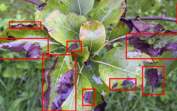 物体识别检测特征*目标识别目标检测分割算法开发运动追踪