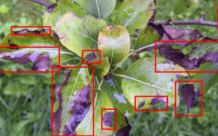 物体识别检测特征*目标识别目标检测分割算法开发运动追踪