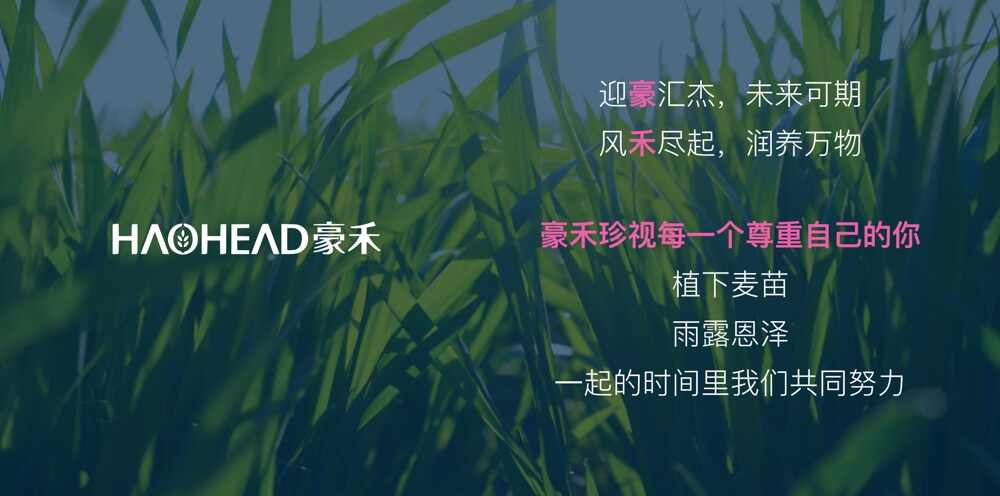 国内经济发展资讯图片