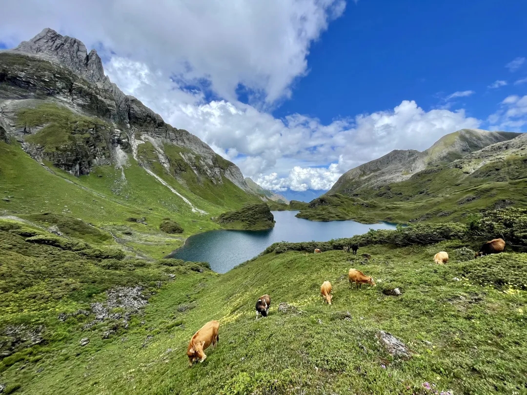 徒步旅行