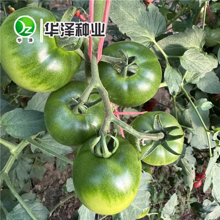 产品名