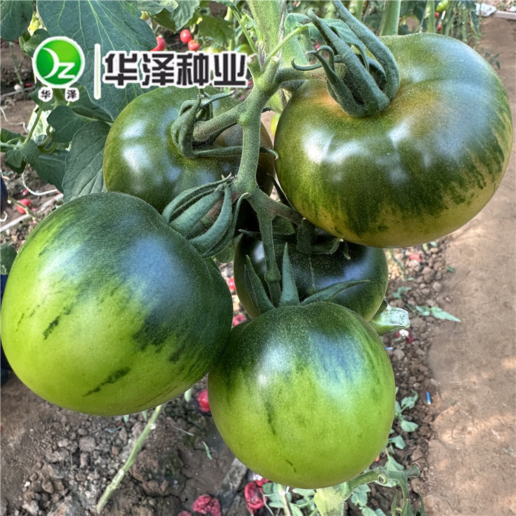 产品名