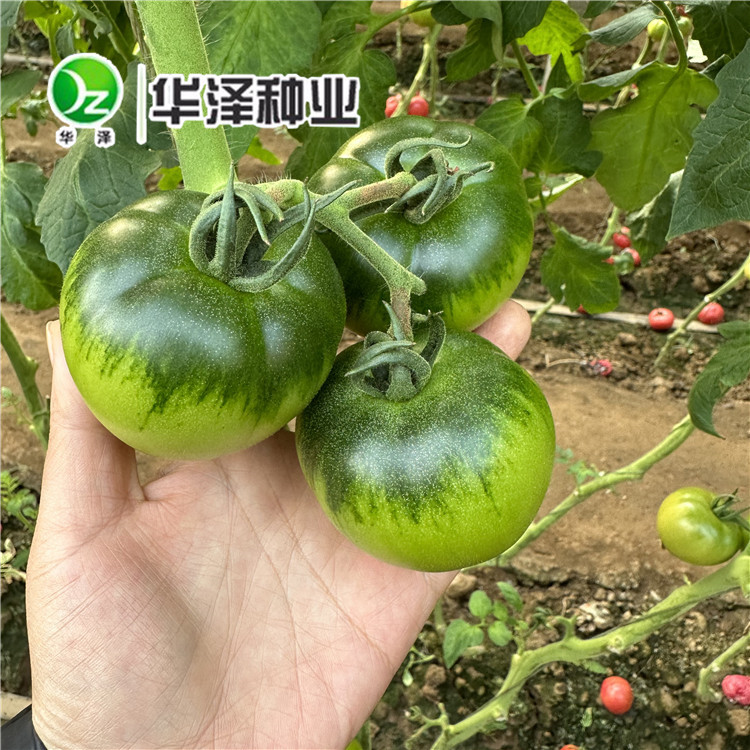产品名