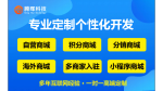 商城定制商城网站商城小程序商城开发商城APP商城建设